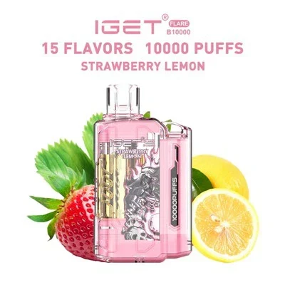IGET FLARE B10000 Mountain Spring Mint – Vape Shop Indore IGET FLARE B10000 Mountain Spring Mint – Vape Shop Indore