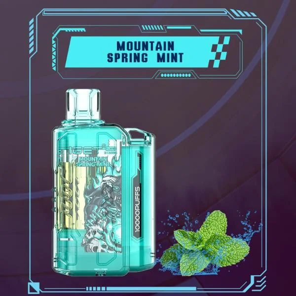 IGET_FLARE_B10000_Mountain_Spring_Mint_Premium_Mint_Vape_in_Chennai